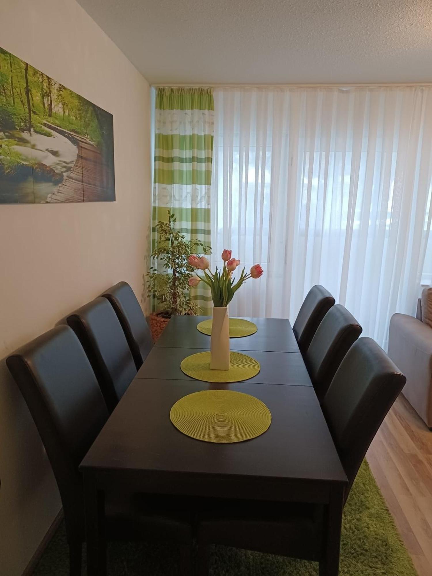 H&A Apartment Baden Baden Exterior foto